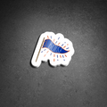 Boise Flag